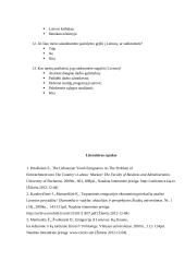 Emigravusio jaunimo išvykimo priežastys ir prevencijos būdai 12 puslapis