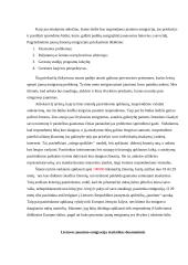 Emigravusio jaunimo išvykimo priežastys ir prevencijos būdai 3 puslapis