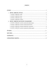 Adriano Hotel socialinė atsakomybė 2 puslapis