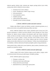 Adriano Hotel socialinė atsakomybė 8 puslapis