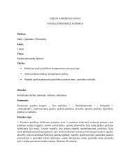 Dailės pamokos planas. Pasakų personažų kūrimas 2 puslapis