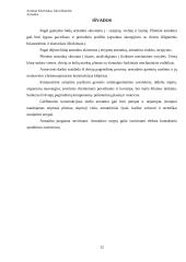 Armatūra, jos savybės 12 puslapis