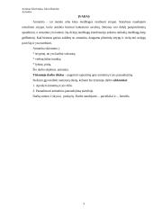 Armatūra, jos savybės 3 puslapis