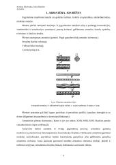 Armatūra, jos savybės 4 puslapis