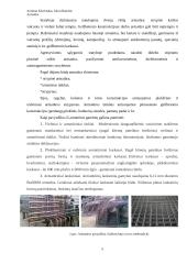 Armatūra, jos savybės 5 puslapis