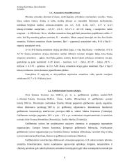 Armatūra, jos savybės 6 puslapis