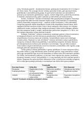 Geležinkelio terminalai, ﻿terminalo paskirtis 3 puslapis