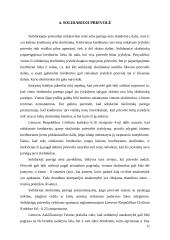 Prievolės esmė ir atsiradimo pagrindai civilinėje teisėje. Dalinės ir solidariosios prievolės. 11 puslapis