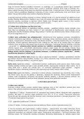 Konspektas apie civilinę teisę, jos įstatymus, teisinius santykius ir kt 2 puslapis