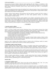 Konspektas apie civilinę teisę, jos įstatymus, teisinius santykius ir kt 17 puslapis