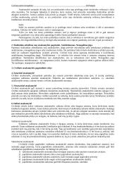 Konspektas apie civilinę teisę, jos įstatymus, teisinius santykius ir kt 20 puslapis