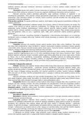 Konspektas apie civilinę teisę, jos įstatymus, teisinius santykius ir kt 10 puslapis