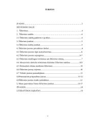 Šlifavimo įrankiai. Šlifavimo juostos paruošimas darbui. Pasirinktos firmos šlifavimo įrankių pristatymas 2 puslapis