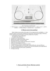 Šlifavimo įrankiai. Šlifavimo juostos paruošimas darbui. Pasirinktos firmos šlifavimo įrankių pristatymas 12 puslapis