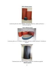 Šlifavimo įrankiai. Šlifavimo juostos paruošimas darbui. Pasirinktos firmos šlifavimo įrankių pristatymas 13 puslapis