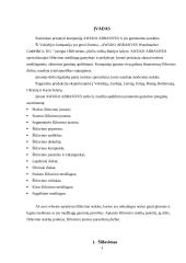 Šlifavimo įrankiai. Šlifavimo juostos paruošimas darbui. Pasirinktos firmos šlifavimo įrankių pristatymas 3 puslapis