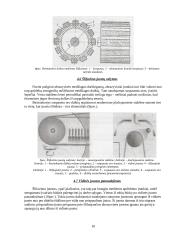 Šlifavimo įrankiai. Šlifavimo juostos paruošimas darbui. Pasirinktos firmos šlifavimo įrankių pristatymas 10 puslapis