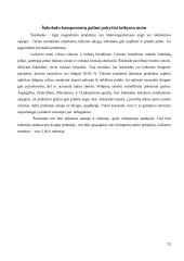 Šokolado sudėties, savybių kitimo ir vertės analizė 13 puslapis