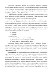 Šokolado sudėties, savybių kitimo ir vertės analizė 8 puslapis