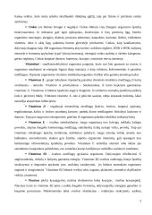 Šokolado sudėties, savybių kitimo ir vertės analizė 10 puslapis