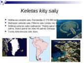 Salos - valstybės 9 puslapis