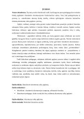 Akcentuotų vaikų ugdymas 2 puslapis