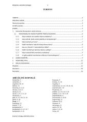 Asmeninio kompiuterio vaizdo sistema ir programos 2 puslapis