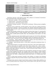 Asmeninio kompiuterio vaizdo sistema ir programos 12 puslapis