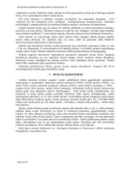 Asmeninio kompiuterio vaizdo sistema ir programos 13 puslapis
