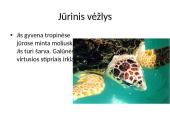 Vandens plėšrūnai  14 puslapis