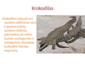 Vandens plėšrūnai  6 puslapis