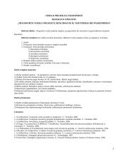 Transporto verslo projektų rengimas ir jų vertinimas bei pagrindimas 2 puslapis