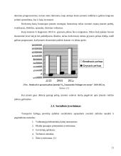 Transporto verslo projektų rengimas ir jų vertinimas bei pagrindimas 11 puslapis