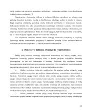 Transporto verslo projektų rengimas ir jų vertinimas bei pagrindimas 13 puslapis