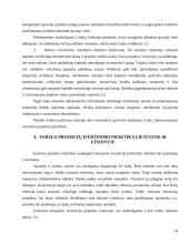 Transporto verslo projektų rengimas ir jų vertinimas bei pagrindimas 14 puslapis