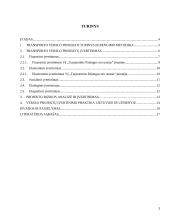 Transporto verslo projektų rengimas ir jų vertinimas bei pagrindimas 3 puslapis