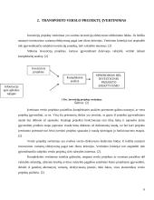 Transporto verslo projektų rengimas ir jų vertinimas bei pagrindimas 6 puslapis