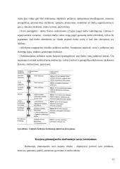 Naujų darbuotojų adaptavimas. Karjeros galimybės. Komandiruotės. Viršvalandžiai 13 puslapis