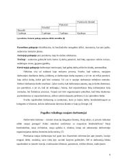 Naujų darbuotojų adaptavimas. Karjeros galimybės. Komandiruotės. Viršvalandžiai 6 puslapis