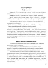 Naujų darbuotojų adaptavimas. Karjeros galimybės. Komandiruotės. Viršvalandžiai 8 puslapis