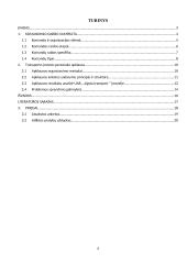 Darbas komandoje: atsakomybė ir grupinė atsakomybė 2 puslapis