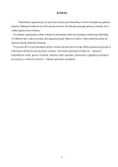 Darbas komandoje: atsakomybė ir grupinė atsakomybė 3 puslapis