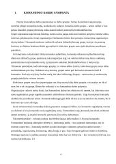 Darbas komandoje: atsakomybė ir grupinė atsakomybė 4 puslapis