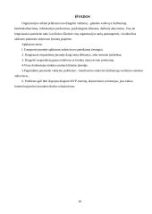 Darbas komandoje: atsakomybė ir grupinė atsakomybė 10 puslapis