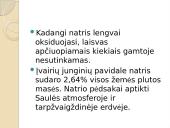 Natris (na) 4 puslapis