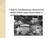 Natris (na) 6 puslapis