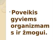 Natris (na) 7 puslapis