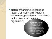 Natris (na) 8 puslapis