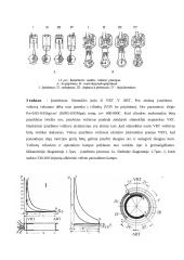 Keturtakčio vidaus degimo variklio veikimo principas 3 puslapis