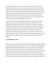 Keturtakčio variklio alkūninis – švaistiklinis mechanizmas 2 puslapis